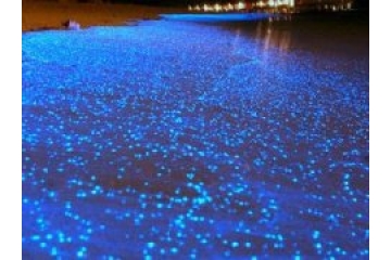 马尔代夫的荧光海滩