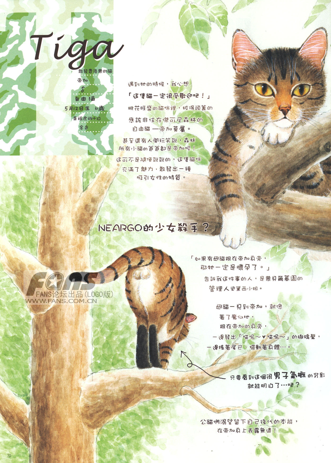 猫漫画图片大全(7)-猫猫萌图-屈阿零可爱屋