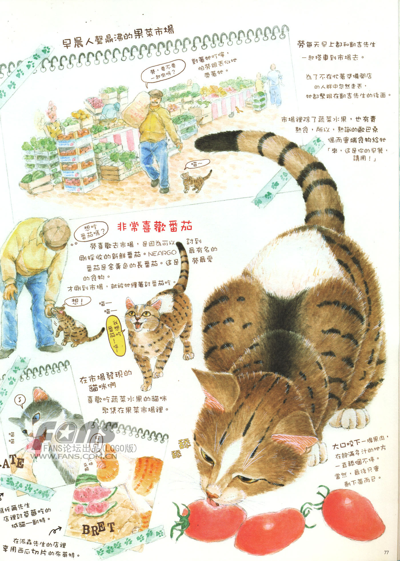 猫漫画图片大全(9)-猫猫萌图-屈阿零可爱屋