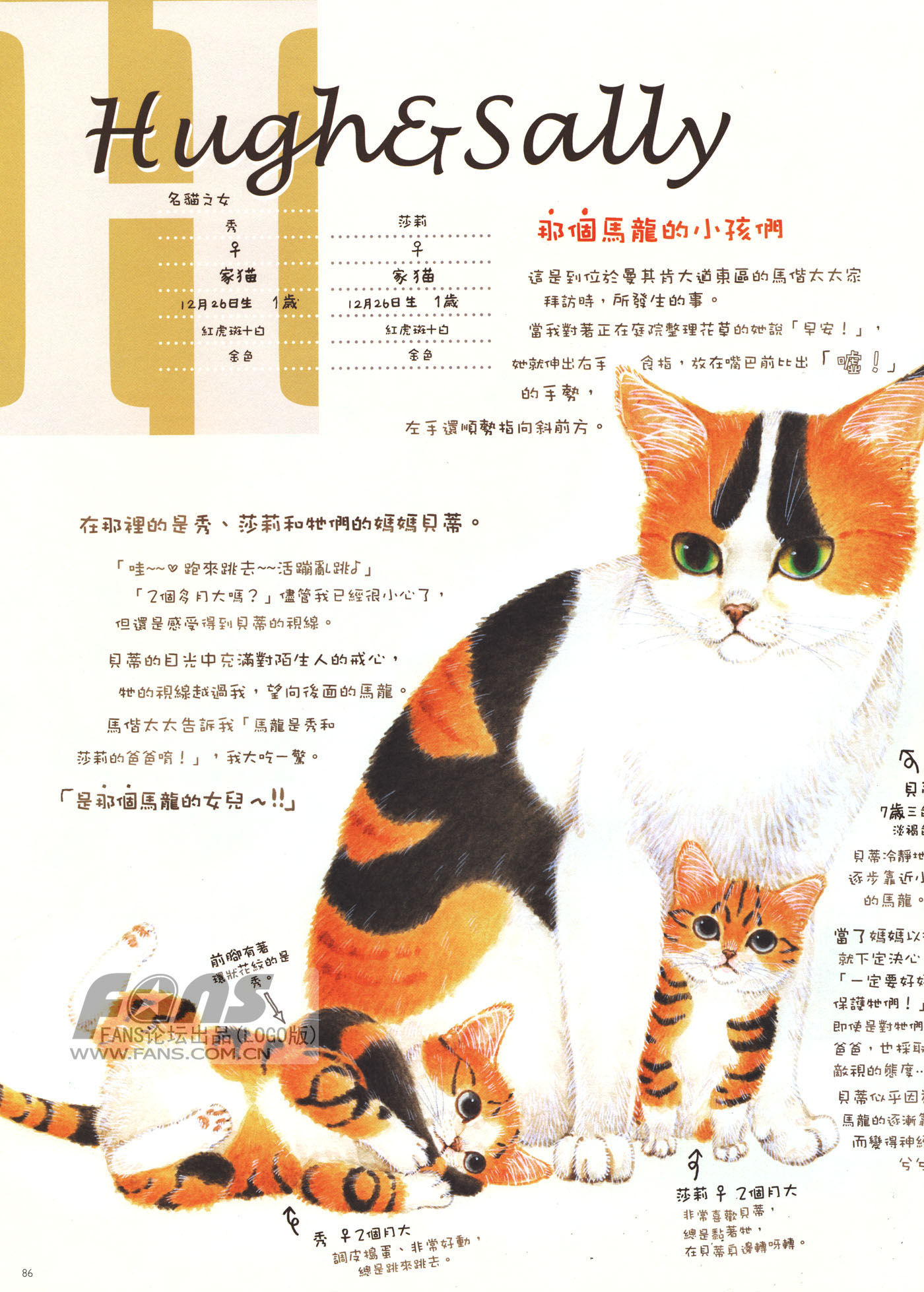 猫漫画图片大全(12)-猫猫萌图-屈阿零可爱屋