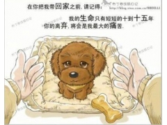 请珍惜身边可爱的