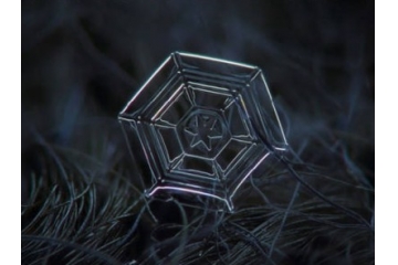 冬日雪花唯美图片