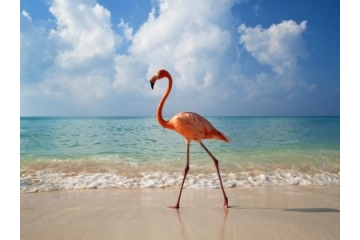 海边风景高清壁纸第二弹